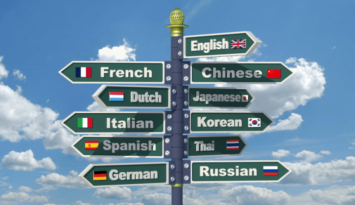 Learning foreign why important language languages reasons world