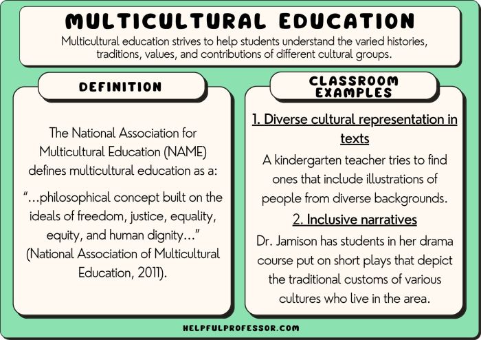 Multicultural reasons diversity pedagogy
